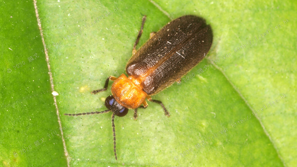 20100630-230500