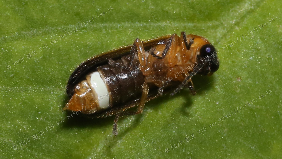 20130602-235350