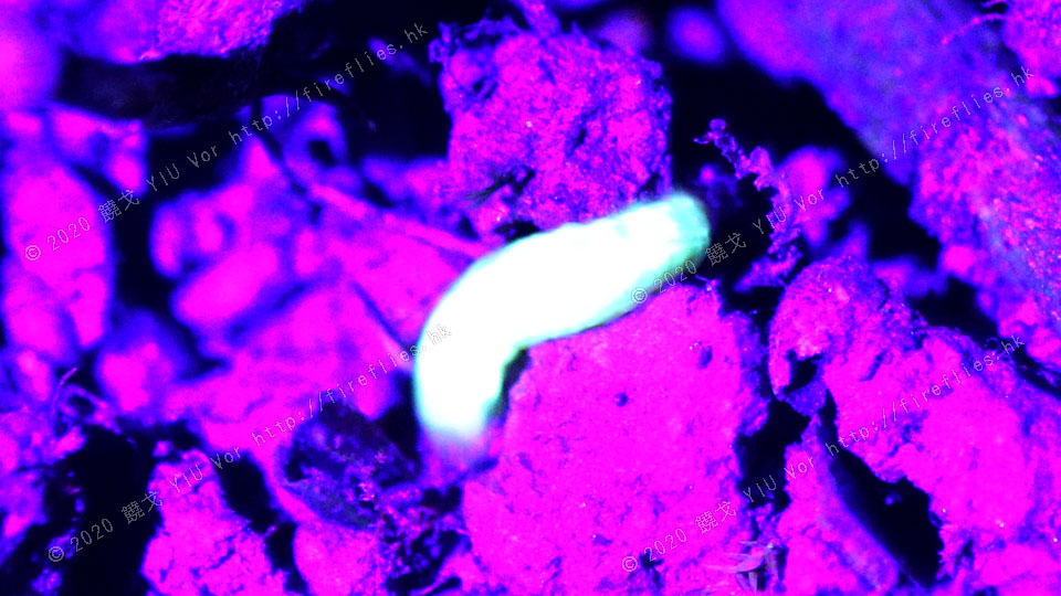 20170512-203856