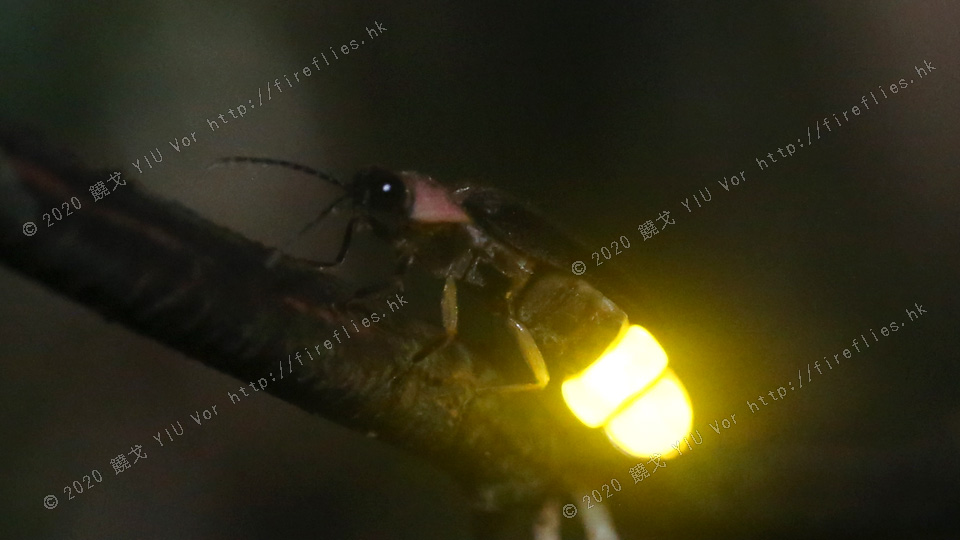 20130523-200013