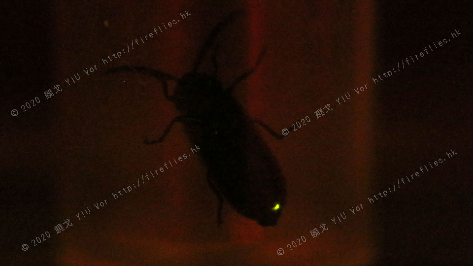 20140415-213055