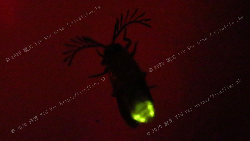 20130519-223336