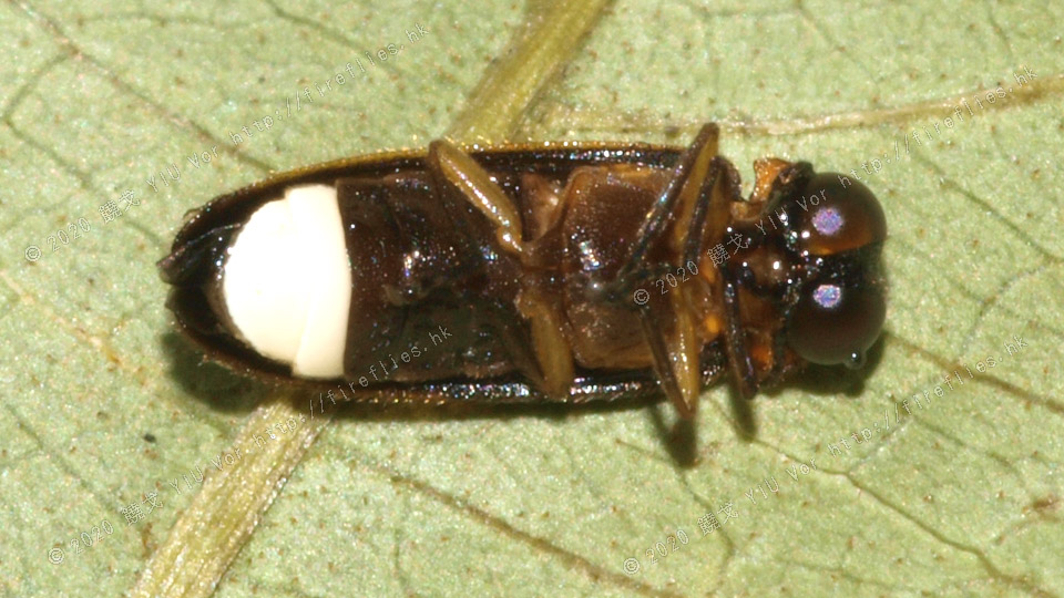 20100612-114425