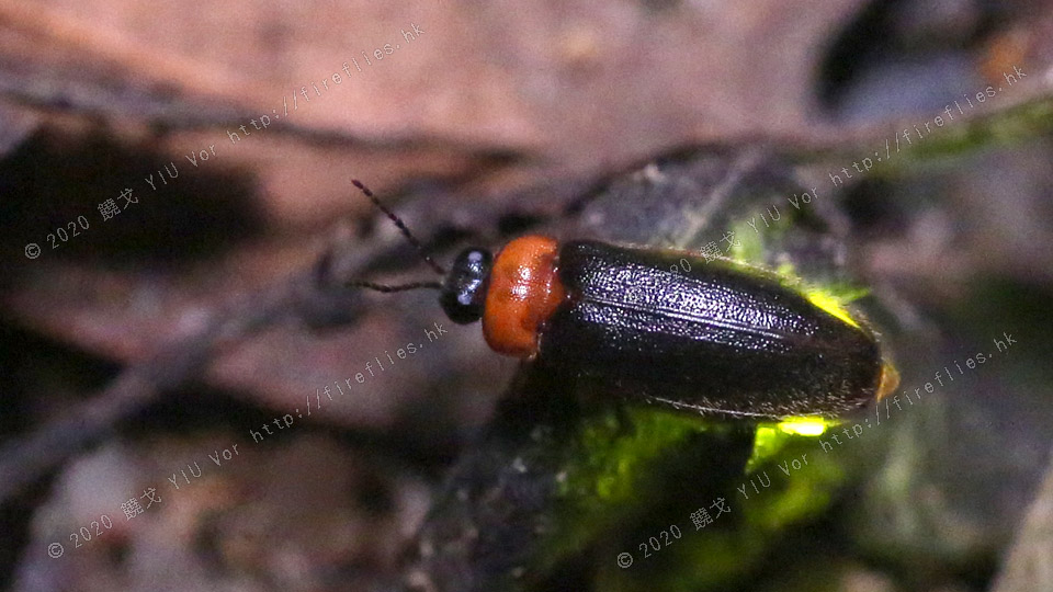 20120512-22020858