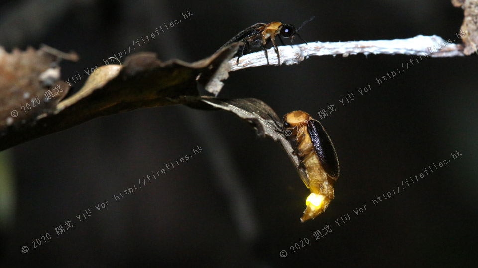 20120327-19540482